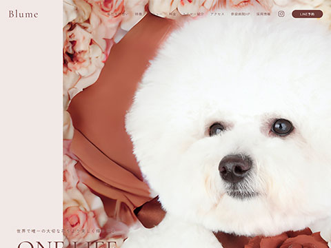 Blume（ブルーム）