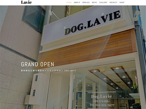 Lavie