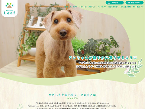 PetSalon Leaf