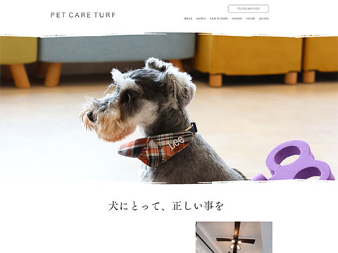 PET CARE TURF