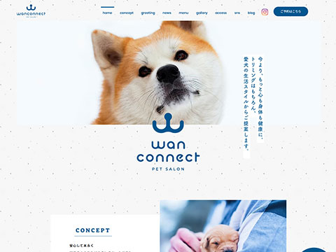 wan connect